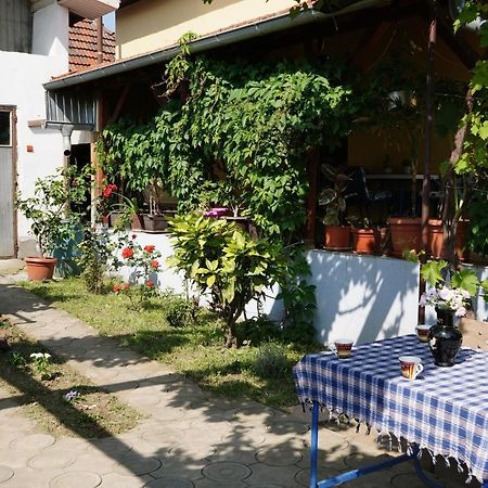 Etnobubi Διαμέρισμα Novi Sip Εξωτερικό φωτογραφία