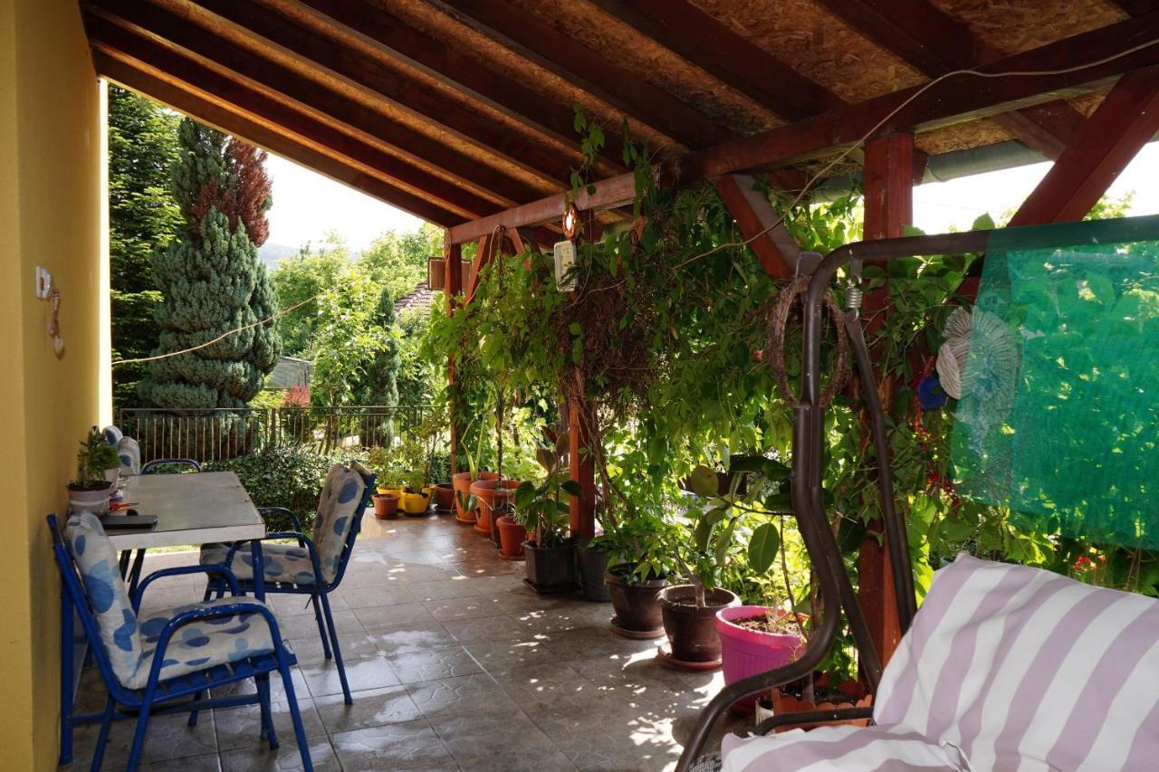 Etnobubi Διαμέρισμα Novi Sip Εξωτερικό φωτογραφία