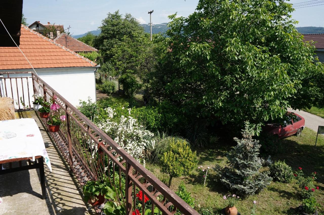 Etnobubi Διαμέρισμα Novi Sip Εξωτερικό φωτογραφία
