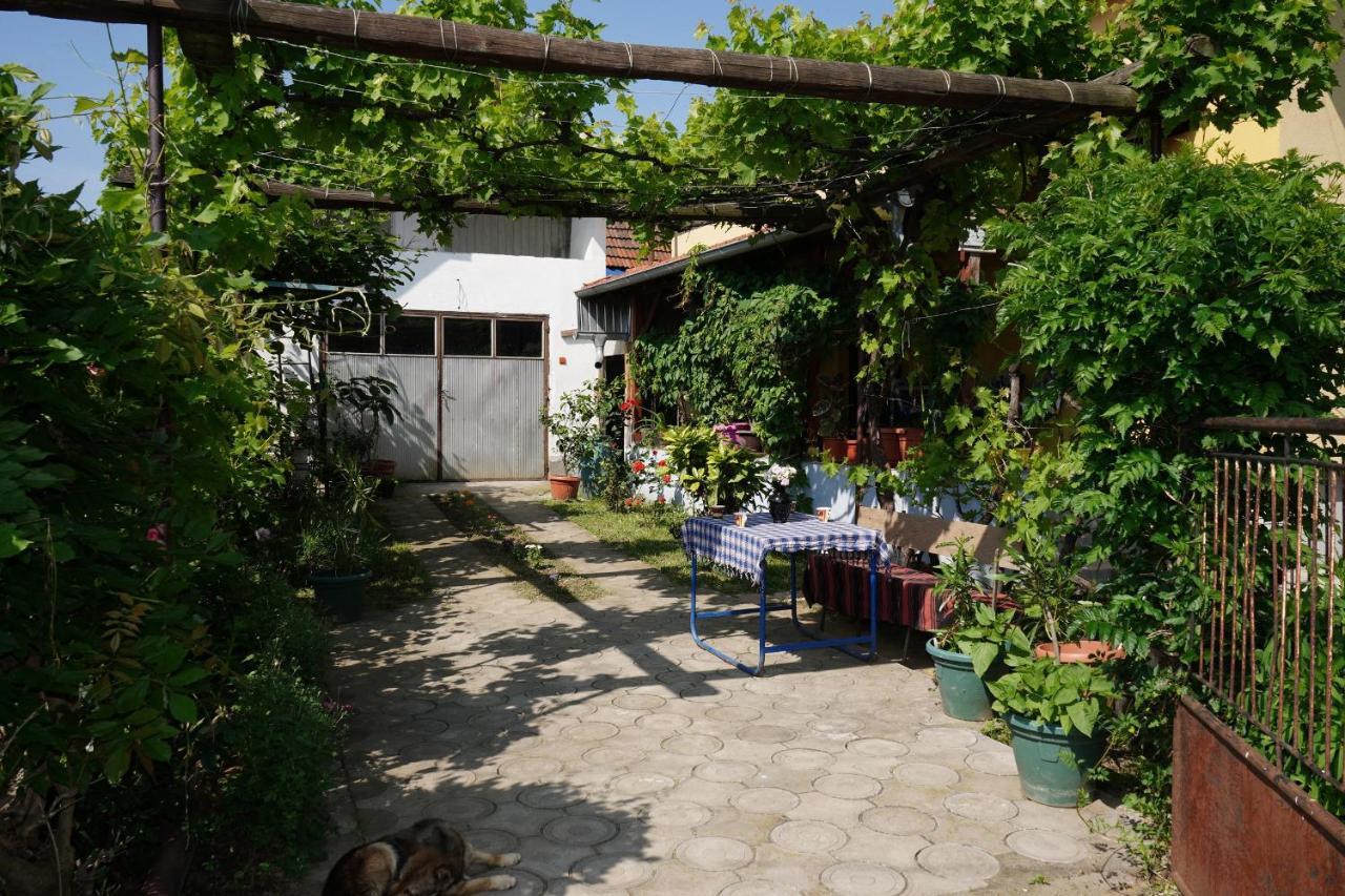 Etnobubi Διαμέρισμα Novi Sip Εξωτερικό φωτογραφία