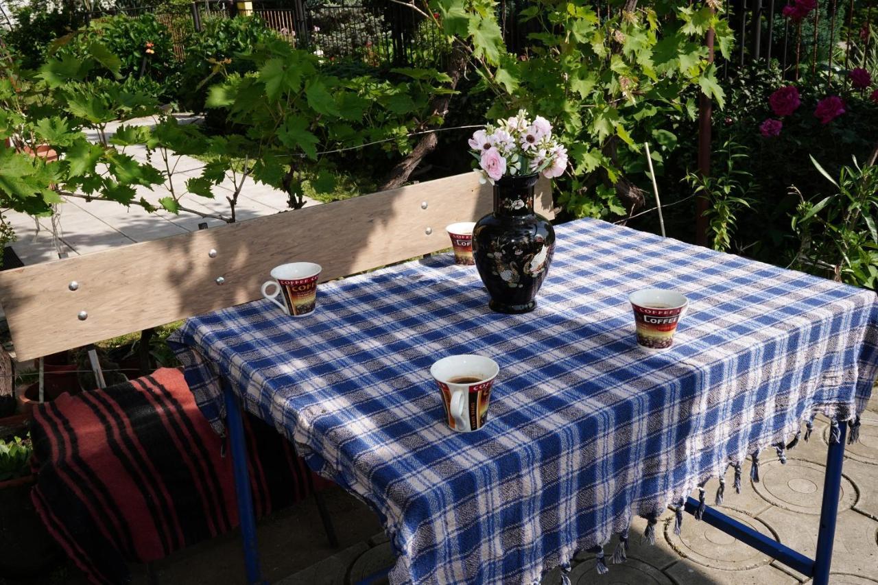 Etnobubi Διαμέρισμα Novi Sip Εξωτερικό φωτογραφία